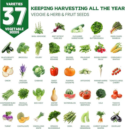 Groundio 40,000+ Heirloom Seeds Kit, 37 Vegetable Seeds Variety Pack - Non GMO for Planting Vegetables, Fruit and Herbs, Outdoor Garden Seeds for Planting Gift for Mother, Women, Mom, Friend
