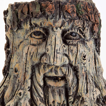 Bits and Pieces - Tree Face Garden Planter - Durable Polyresin Indoor-Outdoor Urn for Plants - Forest Inspired Whimsical Garden Décor