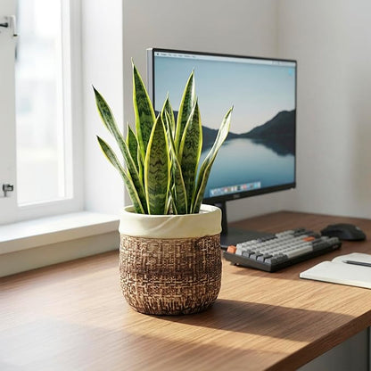 6 Inch Plant Pot - Ceramic Pots for Plants with Drainage Hole and Plug, Unique Plant Pots for Indoor Outdoor Plants, Round Planter, Room Home Decor, Gifts for Plant Lovers, Brown