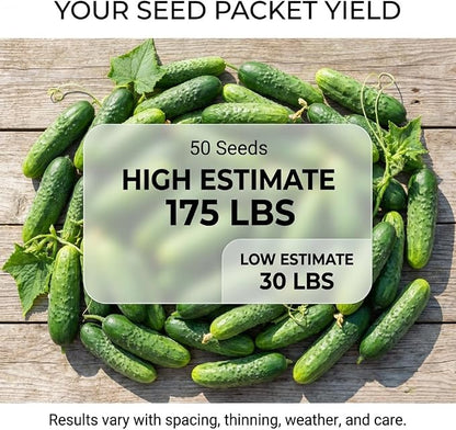 50 Boston Pickling Cucumber Seeds for Planting - Heirloom, Non-GMO, USA Grown - Crisp 3-5" Fruits - RDR Seeds