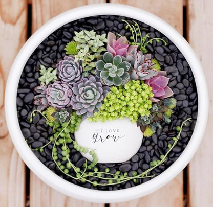 5LB Black Pebbles for Indoor Plants, Vases, Succulent, 3/8 Inch Small Black Rocks for Plants, Polished & Decorative