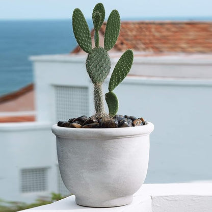 Crescent Garden Agave Planter, Classic Lightweight Resin Planter - UV-Resistant Flower Pots - Indoor & Outdoor Pot for Flowers, Houseplant, Herbs, 14" W x 11" H (Caviar Black)