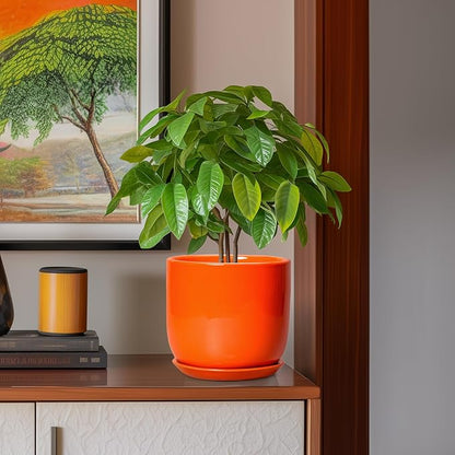 Ceramic Pot for Plants - 8 Inch Plant Pot with Drainage Hole and Saucer, Cylinder Modern Round Planter for Indoor Outdoor Plants, Housewarming Gifts, Office Home Garden Decor, Orange