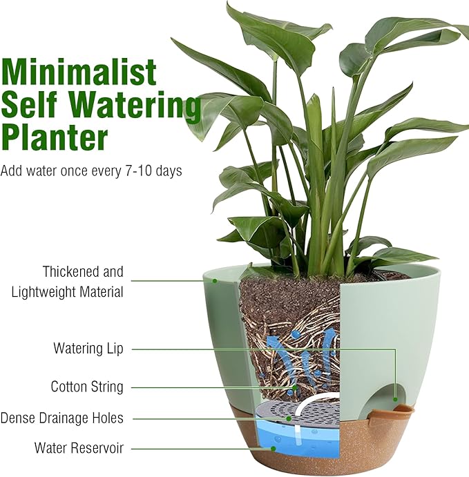 10 inch Self Watering Pots, 2 Pack Plastic Planters with Mesh Drainage Holes for Garden Plants and Flower, Plants Pots with Deep Reservoir for Indoor Outdoor Plants, Green with Brown