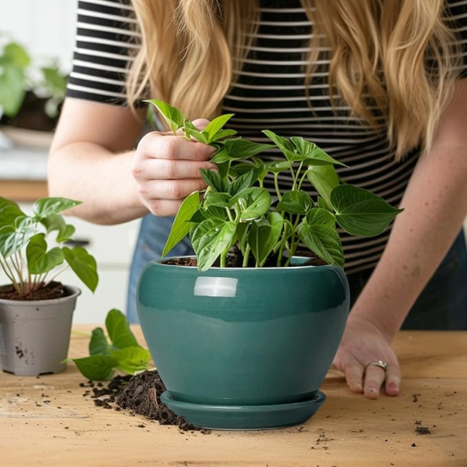 Indoor Plant Pot 6 Inch - Ceramic Planter with Drainage Hole and Saucer, Modern Decorative Indoor Planter for Herb Succulent Plants, Garden Home Decor, Gifts for Plant Lovers, Green