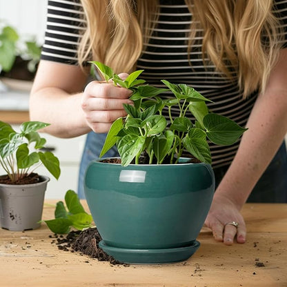 Indoor Plant Pot 6 Inch - Ceramic Planter with Drainage Hole and Saucer, Modern Decorative Indoor Planter for Herb Succulent Plants, Garden Home Decor, Gifts for Plant Lovers, Green