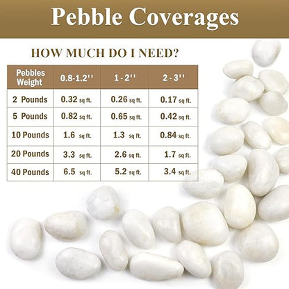FANTIAN 5lbs White Pebbles for Indoor Plants, 0.8-1.2 Inch Smooth White River Rocks for Potted Plants, Decorative Polished Stones for Landscaping Vase Fish Tank and Outdoor Garden Pavers