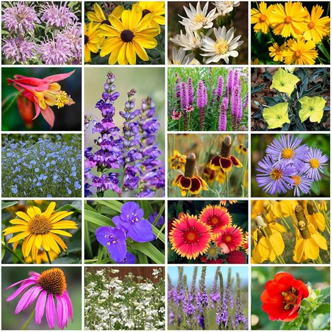 Park Seed Grow Your Own Vibrant Perennial Wildflower Garden Seeds Mixture, Easy to Grow Varieties for Pollinators and Spring Gardens - Native Perennial Mix, 25 lbs