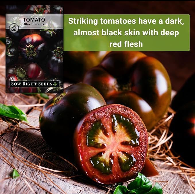 Sow Right Seeds - Black Beauty Tomato Seeds for Planting - Non-GMO Heirloom Packet with Instructions to Plant an Outdoor Home Vegetable Garden - Rare Deep Purple Slicing Variety - Sweet Flavor (3)
