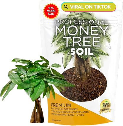 Professional Money Tree Soil Mix Large 2.2 Quarts Ready to Use, Premium Indoor Potting Soil for Money Tree Plants, Peat Moss Coco Coir Perlite Dolomite, Fast Draining Nutrient Rich Blend Made in USA