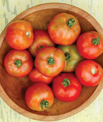 Burpee 'Early Girl',Slicing Tomato, 50 Non-GMO Seeds