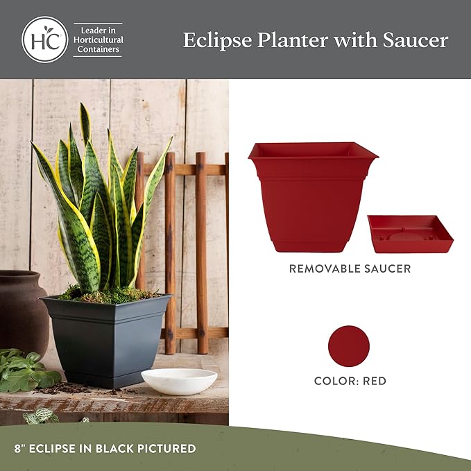 The HC Companies 8 Inch Eclipse Square Planter Pots with Drainage Holes & Attached Saucer, Lightweight UV-Resistant Plastic Indoor Outdoor Planters, 4-Pack Flower Pots for Garden & Home Decor, Red