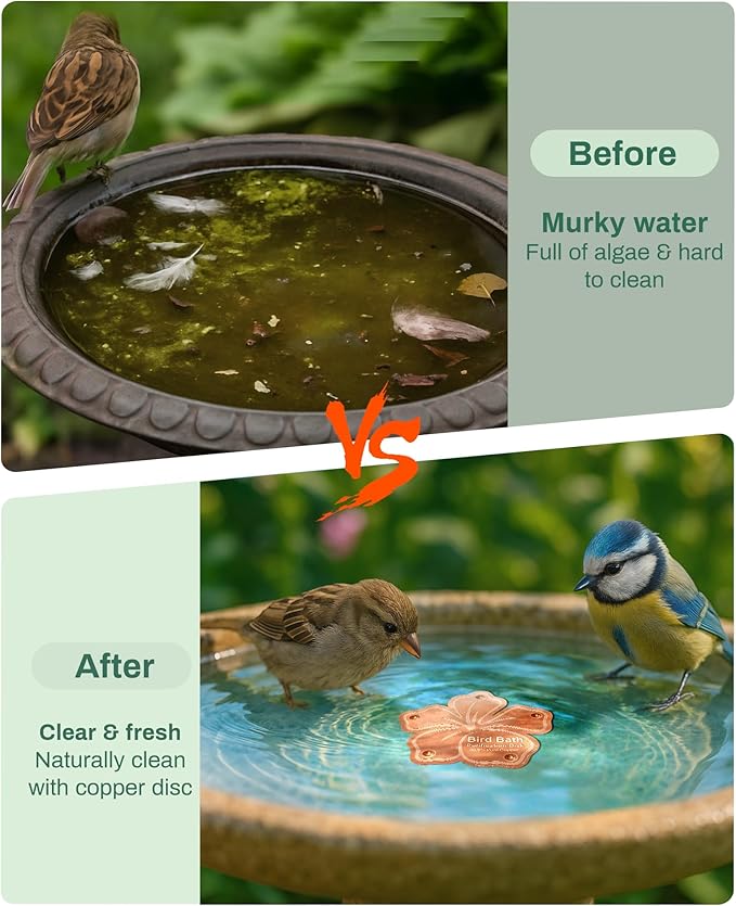 Bird Bath Purification Disk Pure Copper Outside Winter Solar Power Birdbath Water Backyard Winter Solar Power Hummingbird Cleaner Pedestal Fountain Bowl Metal Warmer Railing Accessories Gift