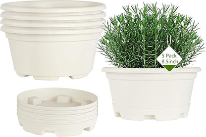 5 Pack 8.5 inch Plant Pot,Outdoor Flower Pots,Plastic pots for Plants Indoor with Drainage Holes and Trays, Decorative Garden Containers Sets for Houseplants