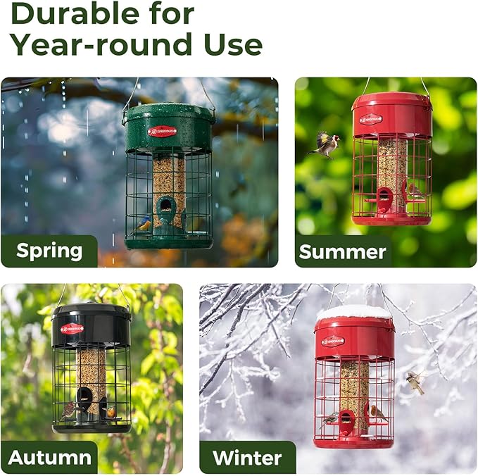 Kingsyard Upgraded Squirrel Proof Caged Bird Feeder for Outdoor Hanging - Additional Storage Tube Bird Feeder with 4 Feeding Ports & Perches, Easy to Clean & Refill. Green