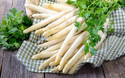 Seeds White Asparagus Non GMO Heirloom