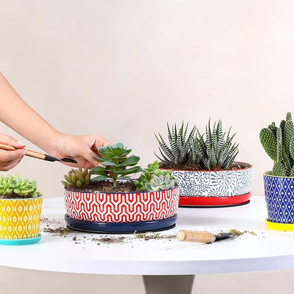Selamica Ceramic Succulent Pots, Shallow Succulent Planters with Drainage Hole & Saucer, Indoor Plant Pots for Cactus, Home Decor，Assorted Colors,8 inch，Set of 2