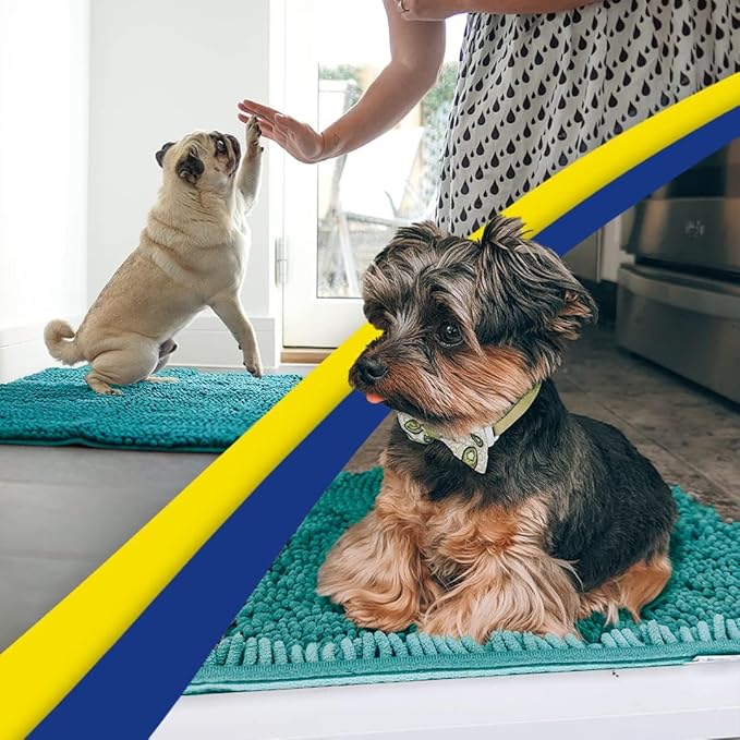Muddy Mat® | Super Water Absorbent Door Mat Indoor, Microfiber Quick Dry Chenille Entryway Rug, Slip Resistant Front Door Mat, Indoor Mats for Entryway, Machine Washable Pet Rug, Teal 3ft x 4ft