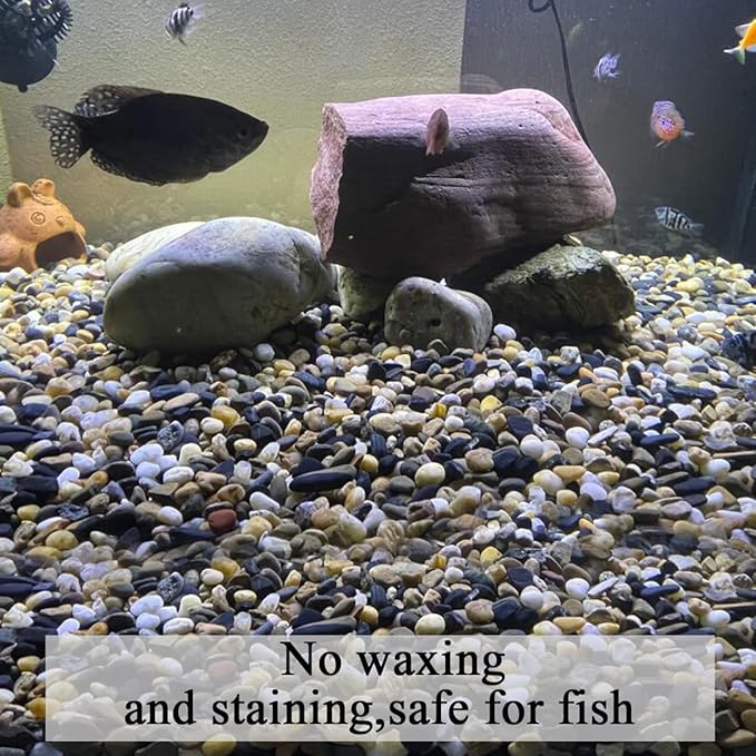 FANTIAN 10 lbs Pea Gravel for Landscaping, 2/5 Inch Size Mixed Color River Rocks for Aquarium, Succulent, Vase Fillers, Cactus Bonsai, Plant Soil Cover and Outdoor Garden Rocks.