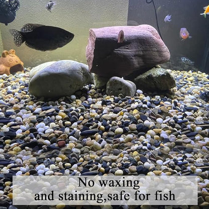 FANTIAN 20 lbs Pea Gravel Pebbles for Indoor Plants, 2/5 Inch Mixed Color River Rocks for Aquarium, Succulent, Vase, Bonsai, Garden, Plant Soil Cover and Outdoor Landscaping Rocks