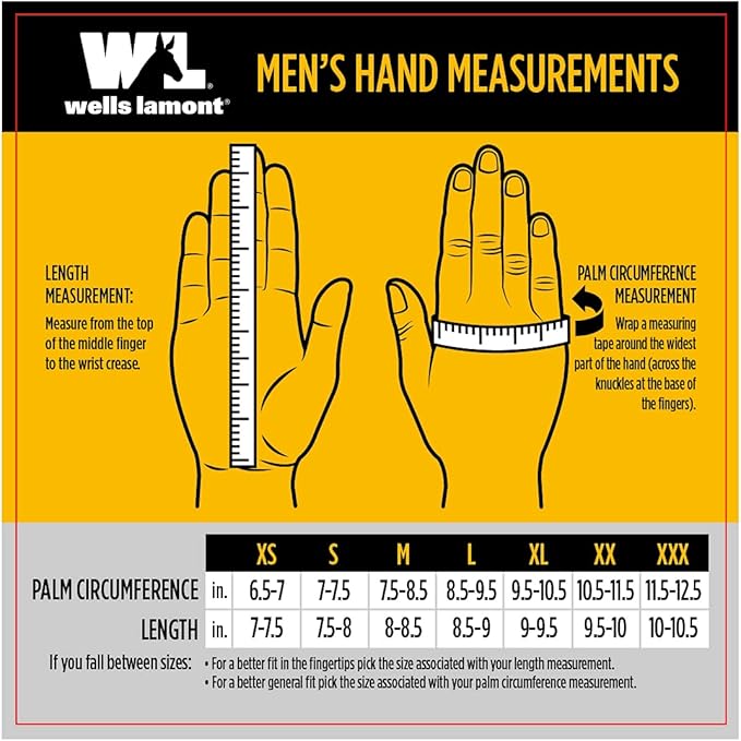 Wells Lamont Versatile Work Gloves | Lightweight, Durable, Comfortable Jersey | Basic, Large (506LZ), Black, 12-Pair Bulk Pack (Pack of 2)