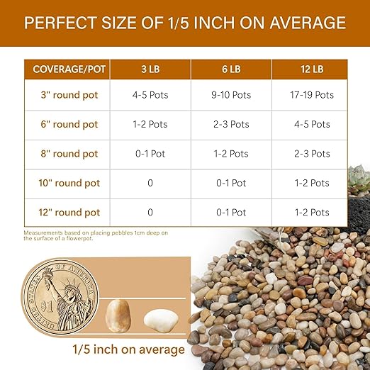 NUPICK 12lb River Rocks for Plants Indoor, 1/5 Inch Mixed Pebbles for Vase Fillers, Decorative Pea Gravel for Fish Tank, Natural Polished Stones for Succulent, Bonsai, Landscaping, Bird Baths