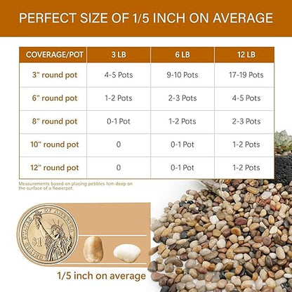 NUPICK 12lb River Rocks for Plants Indoor, 1/5 Inch Mixed Pebbles for Vase Fillers, Decorative Pea Gravel for Fish Tank, Natural Polished Stones for Succulent, Bonsai, Landscaping, Bird Baths