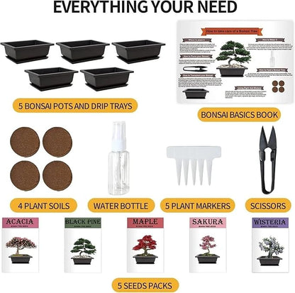 5 Bonsai Tree Kit Complete Plant Growing Tools, Grow in Pot Indoor Bonsai Tree Starter Kit