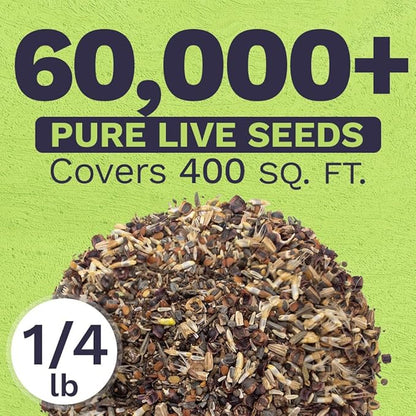 Deer Resistant Wildflower Seed Mixture - Bulk 1/4 Pound Bag - Over 60,000 Deer Tolerant Seeds - Open Pollinated and Non GMO