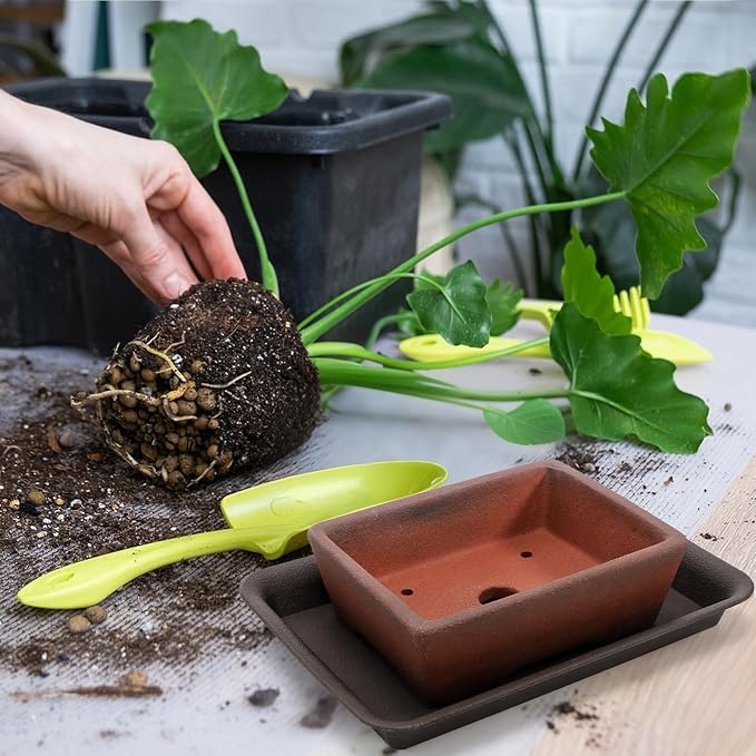 2 Pack Ceramic Bonsai Pots with Drainage Tray, 6" and 7" Unglazed Rectangle Bonsai Tree Planters, Bonsai Training Pots, Succulent Cactus Planter with Drainage Hole for Outdoor Indoor, Brown