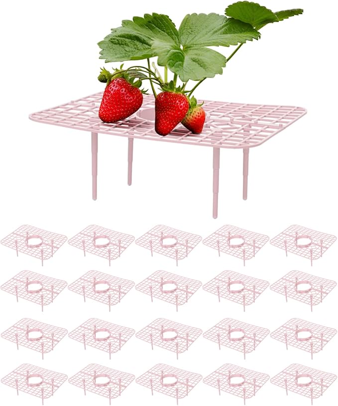 IUIBMI 20 Pack Strawberry Supports Strawberry Holder Strawberry Growing Frame Strawberry Plant Support Strawberry Growing Racks Strawberry Plant Protectors Stand with 4 Sturdy Legs for Garden