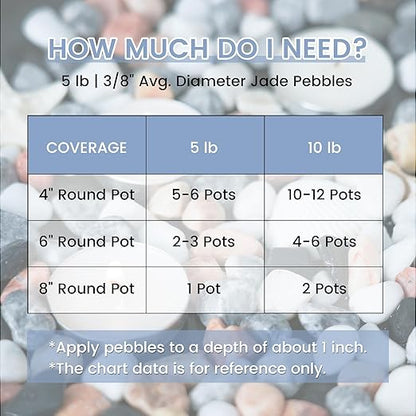 SIDONG 5 LB Natural Mixed Color Gravel Pebbles, 2/5 Inch Small Pea Gravel Stones, Decorative River Rocks for Succulents, Aquariums, Vases, Indoor Plants, Garden Landscaping, DIY