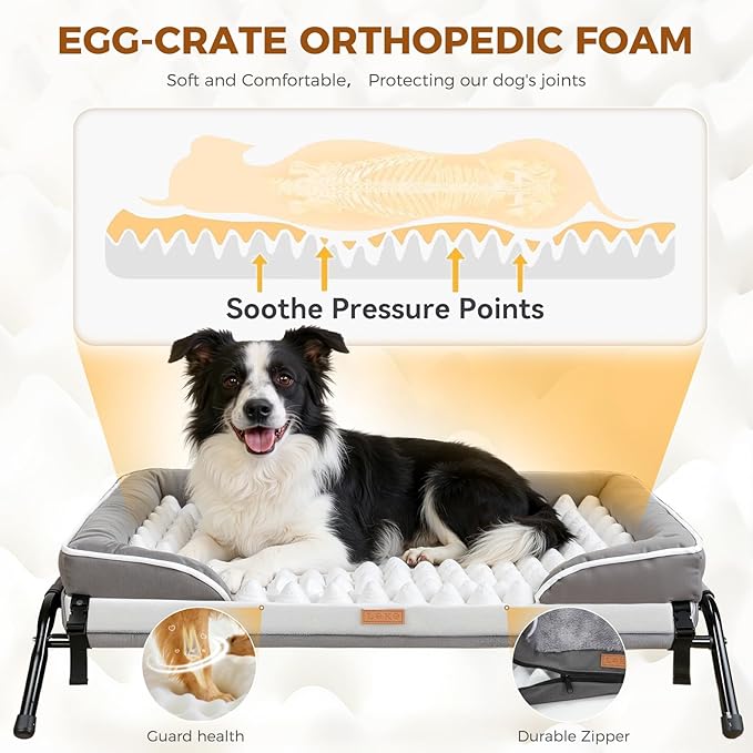 Lekereise Raised Outdoor Medium Dog Bed Cot + Orthopedic Indoor Dog Sofa Bed, 2-in-1 Design,39 x 29 Inch Cooling Elevated Puppy Bed with Egg-Crate Orthopedic Foam Load 70lbs