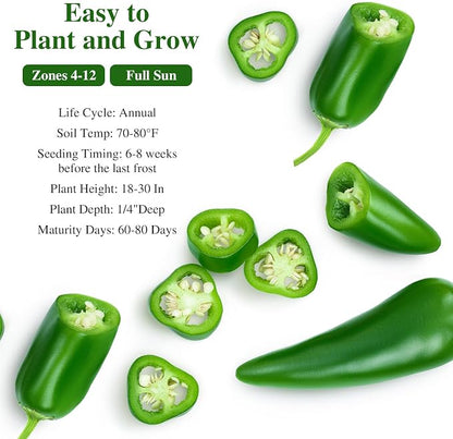 Groundio Jalapeno Pepper Seeds for Planting, Non-GMO Heirloom Vegetable Seeds for Outdoor Home Garden, Easy to Grow, Perfect for Salsa & Hot Sauce
