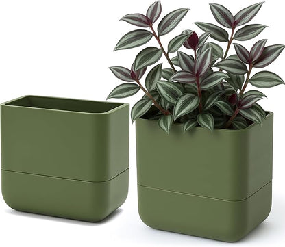Phoenix Vine 6.5 Inch Wall Mounted Self-Watering Planter Pot for Indoor Houseplants and Herbs | Hanging Planter for Window Sills, Bathroom Walls, Home & Office Décor, Olive, Set of 2, 01-C-F-2