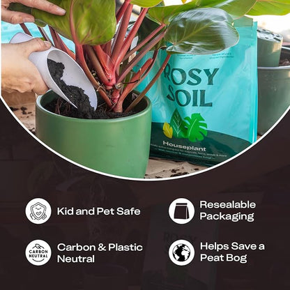 Rosy Soil Houseplant Potting Soil, Organic Indoor Potting Mix with Biochar and Worm Castings for Monstera, Pothos, Tropical Indoor Plants - Peat Free - 8qt