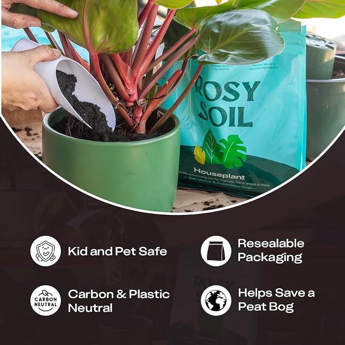 Rosy Soil Houseplant Potting Soil - 2 x 8 qrt, Organic Indoor Potting Mix with Biochar and Worm Castings for Monstera, Pothos, Tropical Indoor Plants - Peat Free - 8qt, Pack of 2