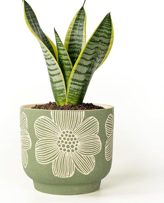 Succulent Pots 6 Inch, Plant Pot for Plants with Drainage Hole, Green Ceramic Planter Modern Floral Pattern, Round Flower Pots for Indoor Plants and Snake Plants - 1 Pack