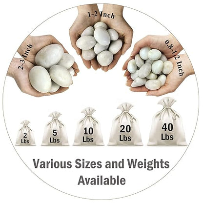FANTIAN 10 lbs White River Rocks, 1-2 Inch Polished Pebbles for Indoor Plants, Decorative White Stones for Plants, Vase, Aquarium, Fish Tank, Landscaping and Garden