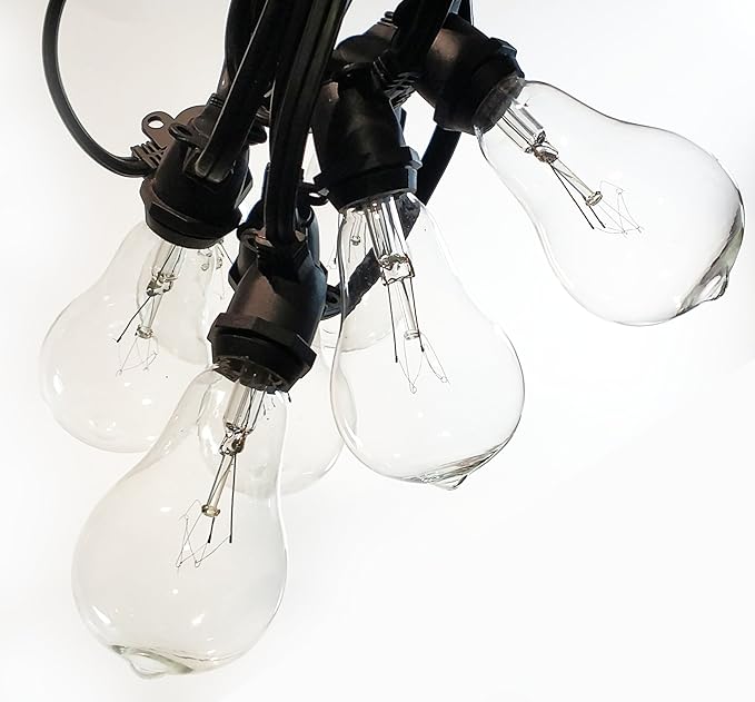 Hometown Evolution, Inc. Commercial Grade Vintage Edison Outdoor String Lights (PS50 Clear - Commercial Black Wire, 25 ft)