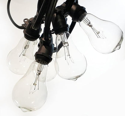 Hometown Evolution, Inc. Commercial Grade Vintage Edison Outdoor String Lights (PS50 Clear - Commercial Black Wire, 25 ft)