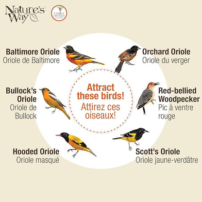 Nature's Way OFM1 Wire Oriole Feeder
