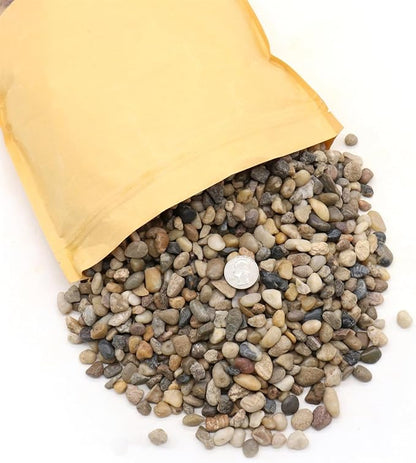 Rocks for Plants. Mixed Color Decorative Pebbles. 1/5 Inch 10 lbs. for Garden, Landscaping, Indoor, Vase fillers, Crafting, Succulents, pots, Plants (Mini, Mixed Color, 10)