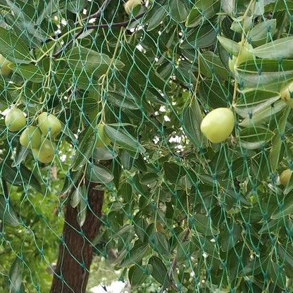 Bird Netting for Garden 6.5X50 FT, 1/4 Inch Mesh, Protect Blueberry, Strawberry, Tomatos, Vegetables. Fruit Tree Netting for Cicadas Against Deers, Squirrels, Bunnies, and Small Critters.