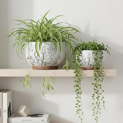 Succulent Pots Terracotta, 6 Inch Plant Pot for Plants with Drainage Hole, Ceramic Planter Mushroom Pattern, Round Flower Pots for Indoor Outdoor Herb Orchid Snake Plants - 1 Pack