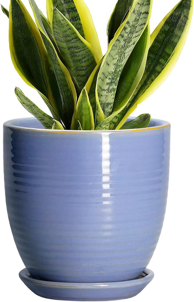 6 Inch Ceramic Pots for Plants - Ceramic Plant Pots with Drainage Hole and Saucer, Flower Pot for Indoor Plants, Round Modern Planter, Apartment Decor, Housewarming Gifts, Blue-Purple