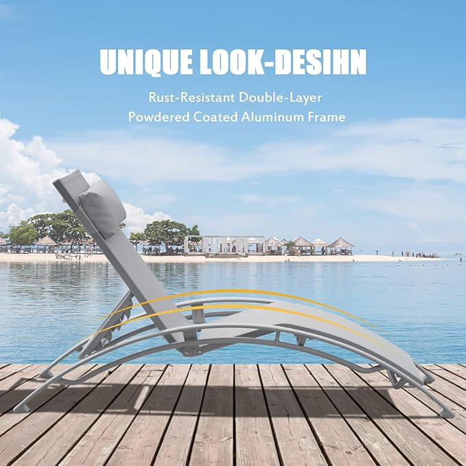 Domi Outdoor Chaise Lounge Set of 2 Patio Recliner Chairs with Adjustable Backrest and Removable Pillow for Indoor&Outdoor Beach Pool Sunbathing Lawn Gray