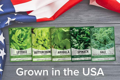 Gardeners Basics Lettuce and Greens Heirloom Vegetable Seed Non-GMO Seeds for Planting Indoors and Outdoor - Lettuce Buttercrunch, Romaine, Arugula, Kale and Spinach, Pack of 5