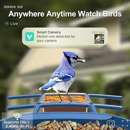 Bird Feeder with Camera Solar Powered : Smart Camera Bird Feeder 2K Live Feed Cam for Outdoor Backyard - AI Identify Auto Capture Videos Pictures, Gifts for Birdlover Mom Dad, 2.4GHz WiFi