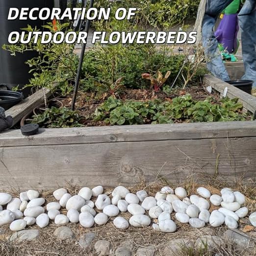 18lb White River Rocks for Plants, 1-3 Inch Pebbles for Indoor Plants, Polished Garden Rocks Outdoor Landscaping, Decorative Stones for Vases, Succulents, Aquarium, Walkways